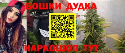 гидра Заводоуковск