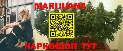 гидра Заводоуковск