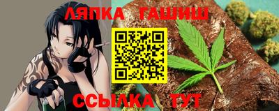 гидра Заводоуковск